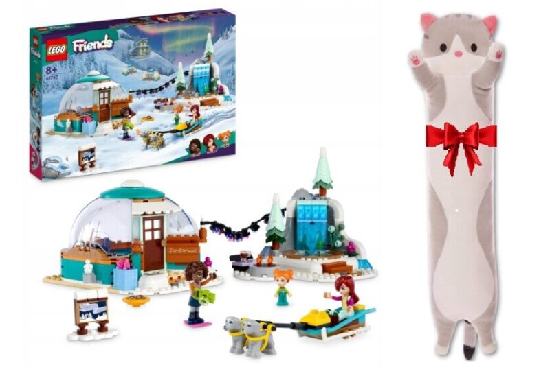 LEGO Friends Winter Igloo Adventure su Katės pagalve – Belsi.lt