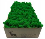 Suomiškos samanos 500g