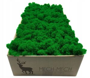 Suomiškos samanos 500g