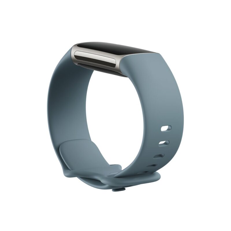 Išmanioji apyrankė Fitbit Charge 5 Steel Blue/Platinum - Image 5