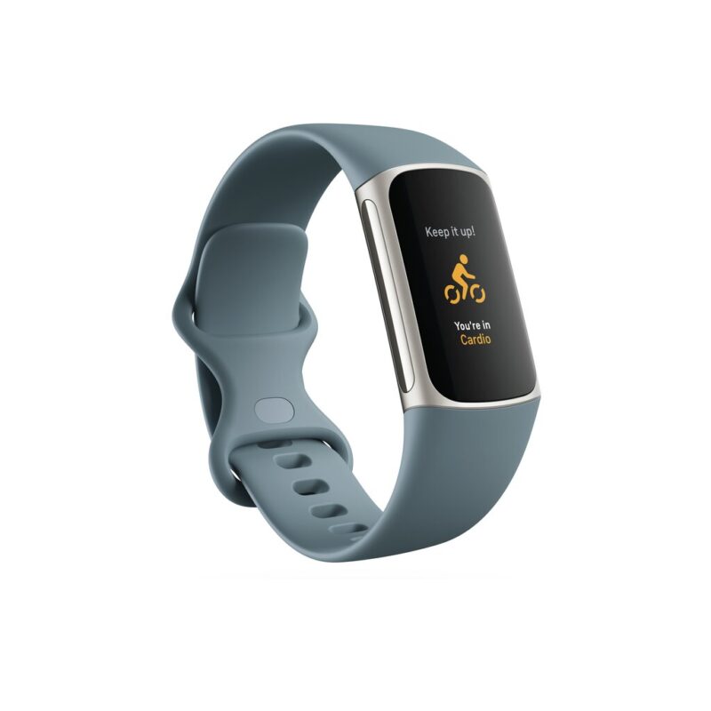 Išmanioji apyrankė Fitbit Charge 5 Steel Blue/Platinum - Image 4