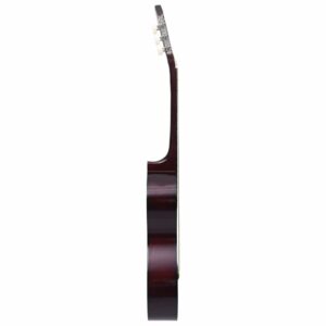 Klasikinės gitaros rinkinys pradedantiesiems 12 dalių 44 39