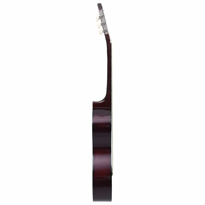 Klasikinės gitaros rinkinys pradedantiesiems 12 dalių 44 39