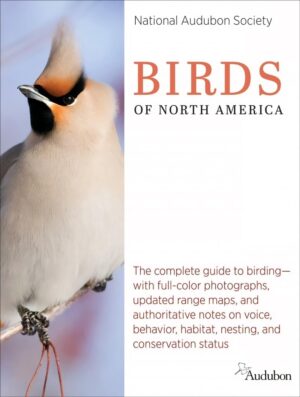 National Audubon Society paukščių gidas – išsamus ir tikslus