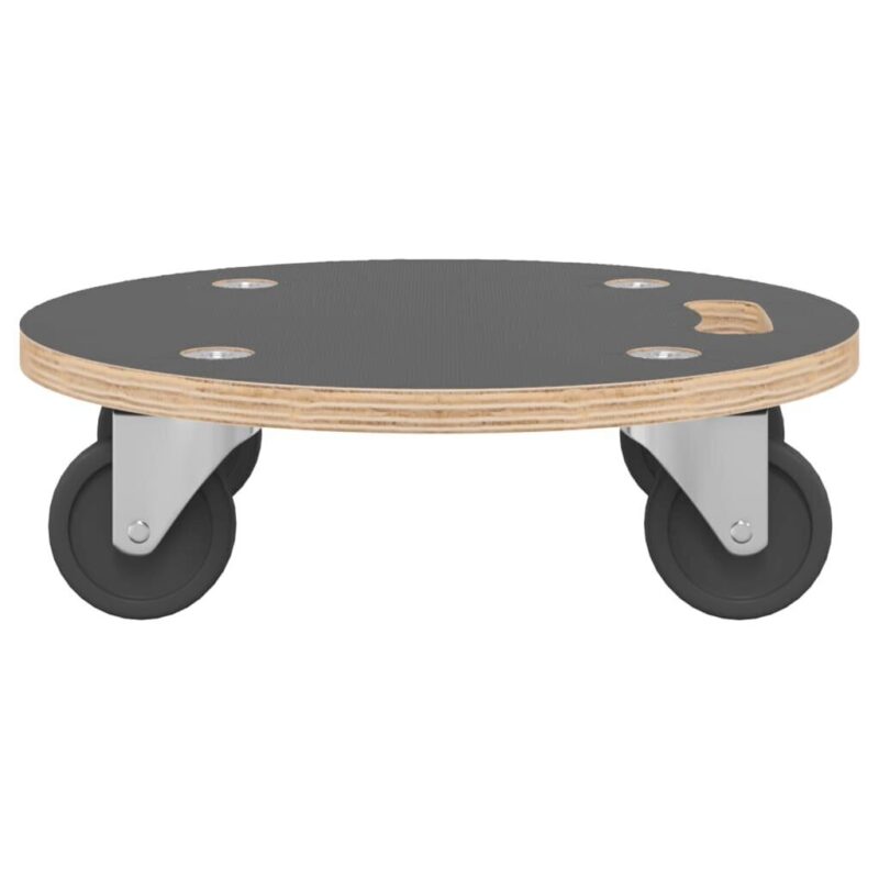Platforminiai vežimėliai vidaXL 38×115 cm 2 vnt  patvarūs funkc |B