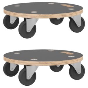 Platforminiai vežimėliai vidaXL 38×115 cm 2 vnt  patvarūs funkc |B