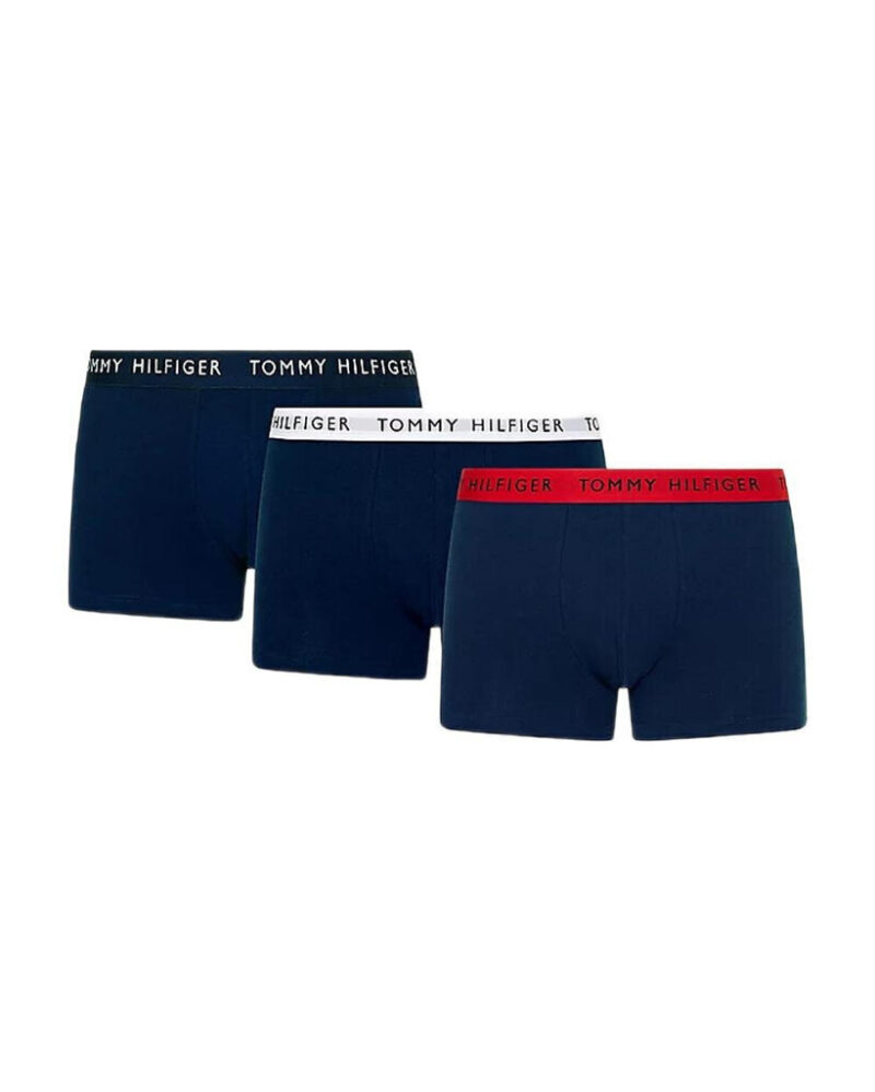 Tommy Hilfiger trumpikės vyrams BFN-G-335178, mėlynos, 3 vnt., L