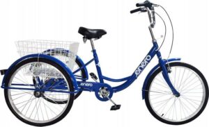 Triratis reabilitacijai Enero Rower 24