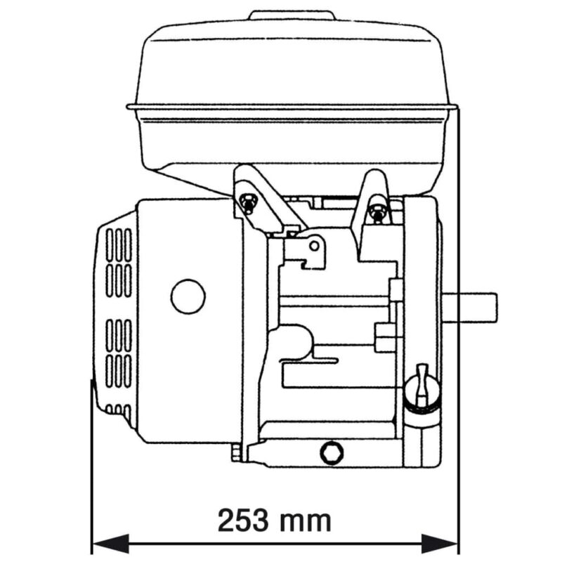 Benzininis variklis 65 HP 48 kW  patikimas pasirinkimas