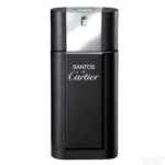Cartier Santos de Cartier EDT tualetinis vanduo vyrams 100 ml