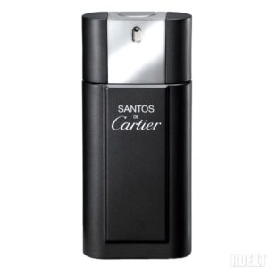 Cartier Santos de Cartier EDT tualetinis vanduo vyrams 100 ml