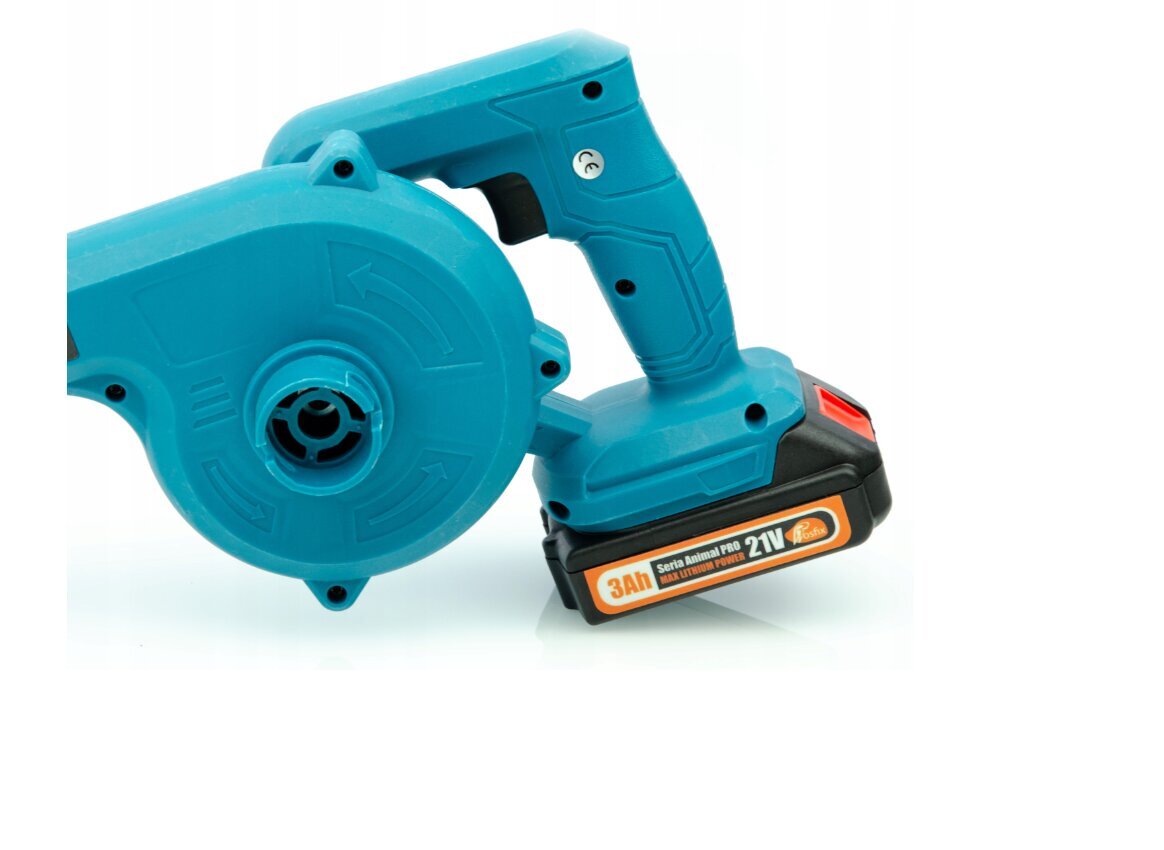 akumuliatorinislapupustuvasrosfix21v3ah32aaeinternetureference belsilt Akumuliatorinis Rosfix lapų pūstuvas 21V 3Ah belsilt