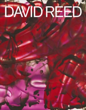 David Reed knyga  analizė ir iliustracijos | belsilt