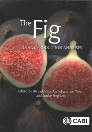 Fig: Botany, Production and Uses