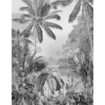 Komar Lac Tropical Black  White fototapetai  tvirti ir stilingi