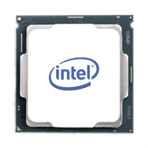 Procesorius Intel Xeon E 2224 BOX  4 branduoliai 46 GHz