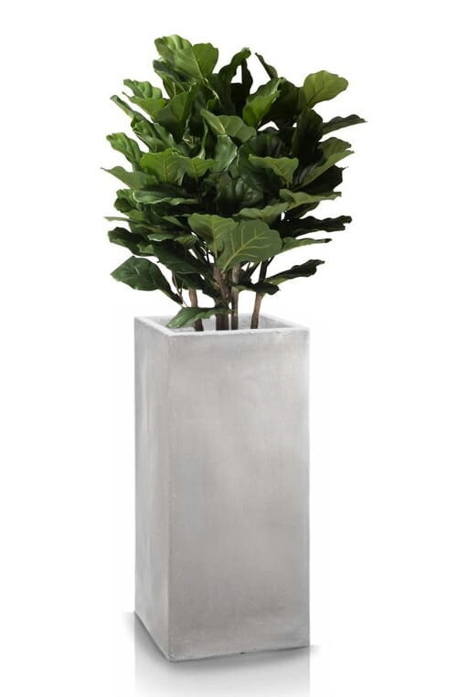 keraminisvazonasecolitekvadratinissmelinis34xkainareference  belsilt Keraminis vazonas Ecolite 34x70 cm kvadratinis smėlinis