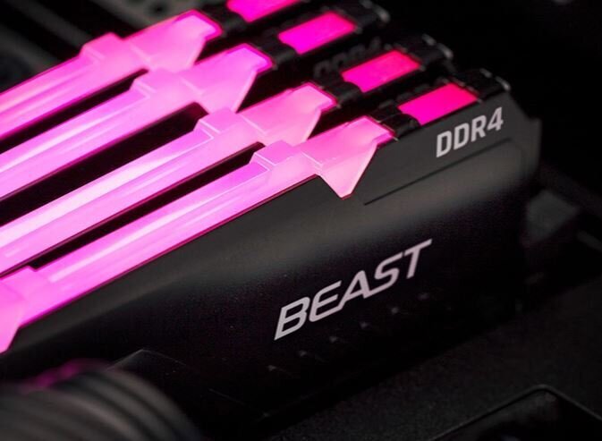 kingstonfurykf436c17bbak4320eadakainareference  belsilt Operatyvioji atmintis Kingston Fury Beast DDR4  belsilt