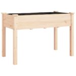 Lovelis su įdėklu 118x59x76 cm  funkcionalus ir tvirtas