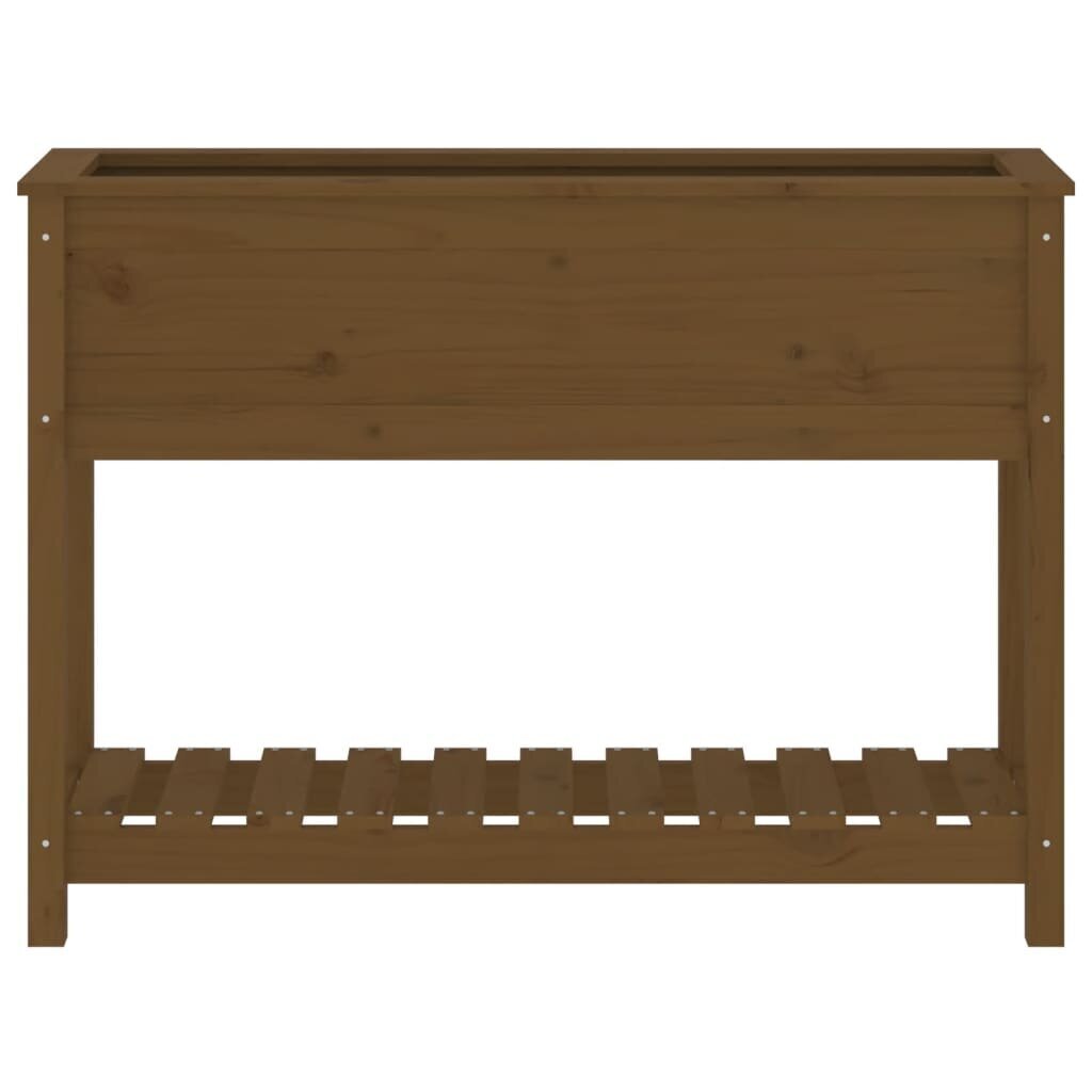 lovelissulentynavidaxl1115x345x81cmdc005atsiliepimaireference belsilt Medinis lovelis su lentyna vidaXL 1115x345x81cm