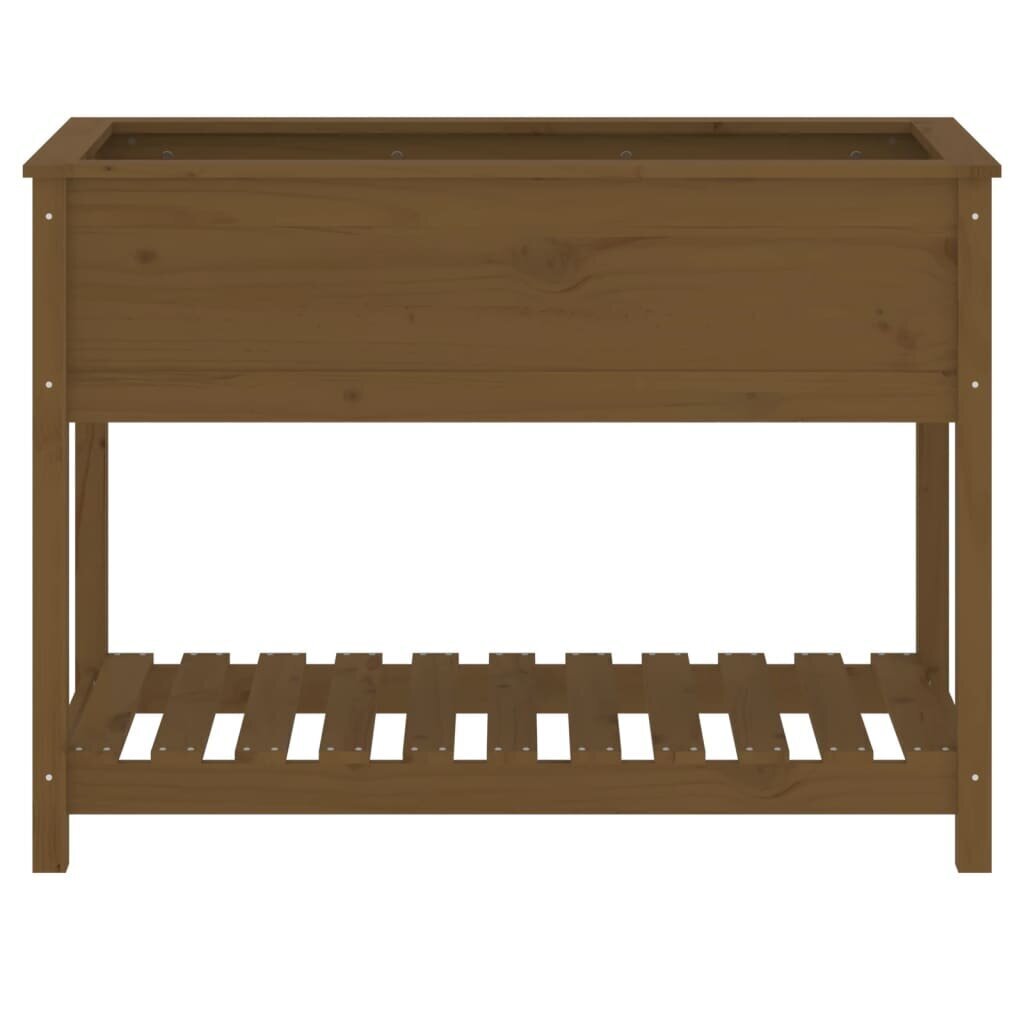 lovelissulentynavidaxl1115x54x81cm2c9b9atsiliepimaireference belsilt Medinis lovelis su lentyna vidaXL 1115x54x81 cm belsilt