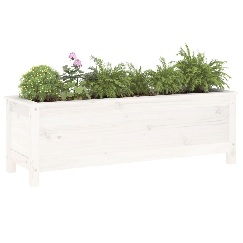 medinislovelis1195x40x39cmbaltasb6185internetureference  belsilt Medinis lovelis 1195x40x39 cm baltas | Belsilt