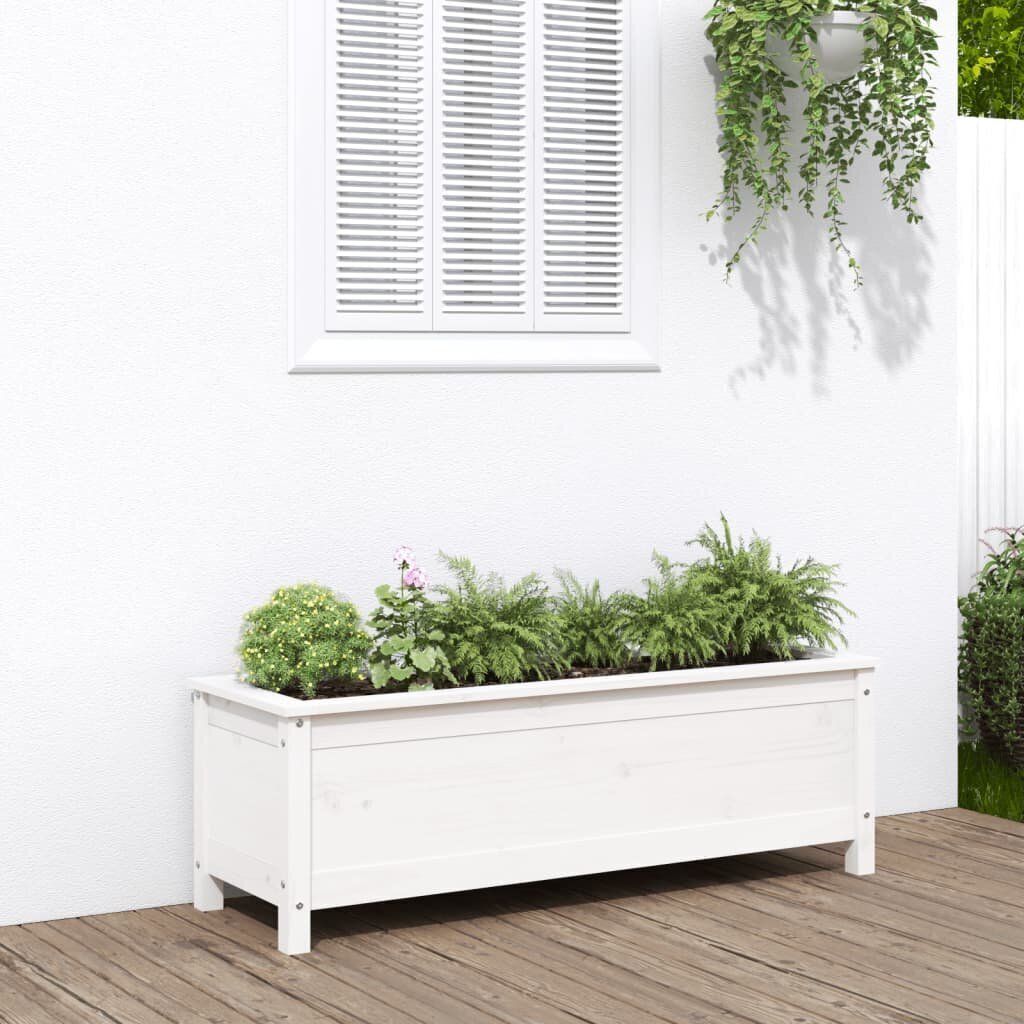 medinislovelis1195x40x39cmbaltase2294kainareference  belsilt Medinis lovelis 1195x40x39 cm baltas | Belsilt