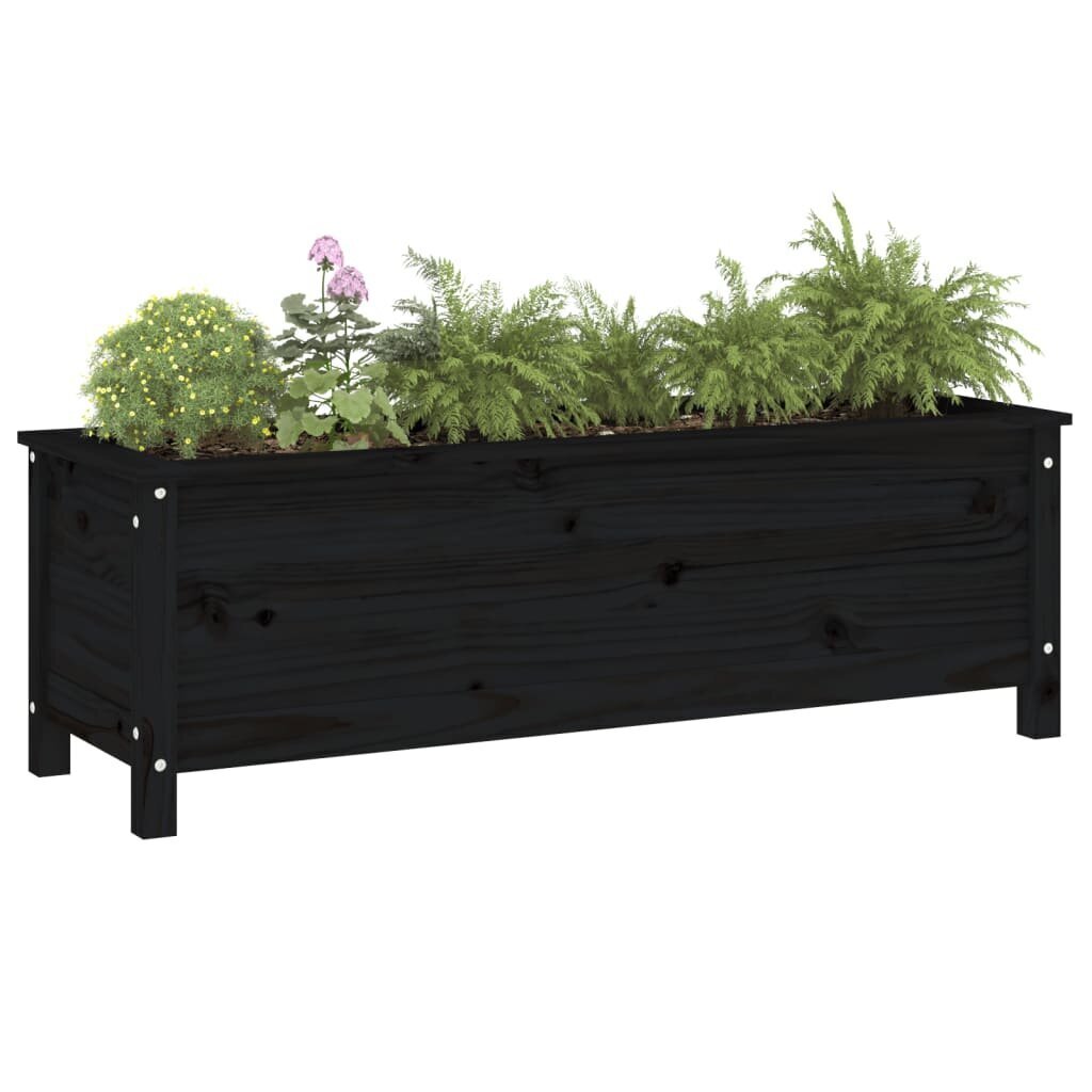 medinislovelis1195x40x39cmjuodas79eccinternetureference  belsilt Medinis juodas lovelis 1195x40x39 cm  tvirtas ir erdvus