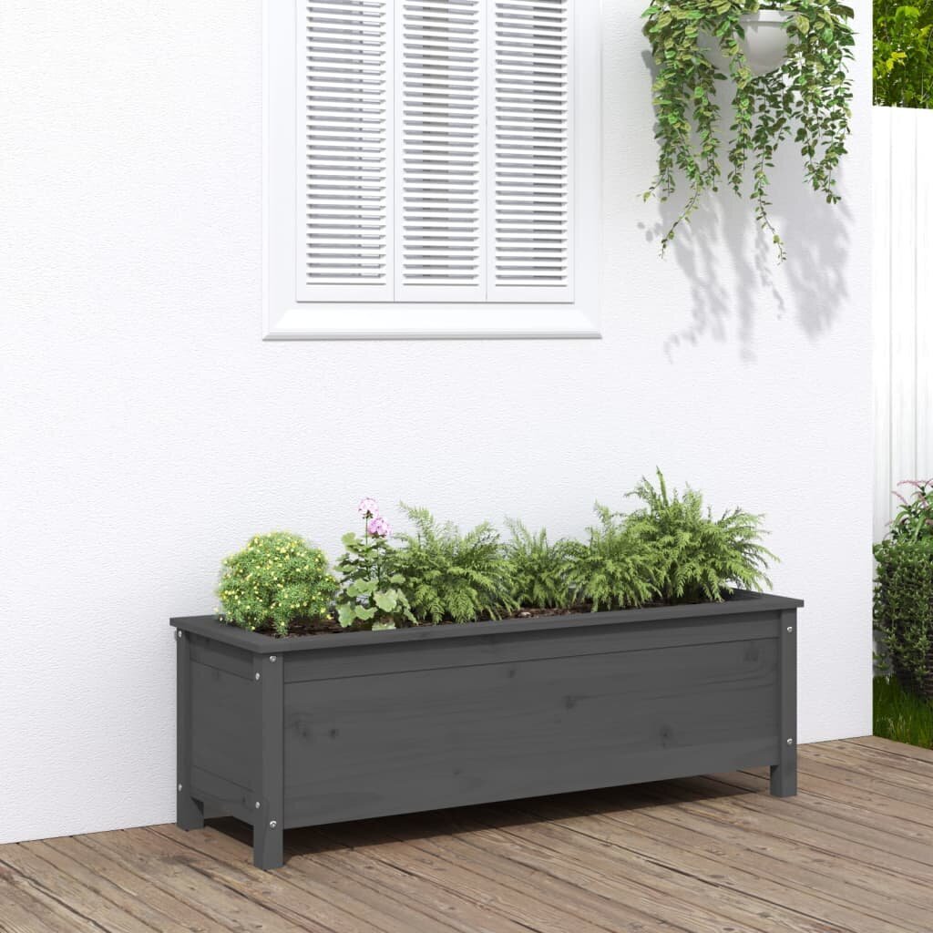 medinislovelis1195x40x39cmpilkasdb2b5kainareference  belsilt Medinis lovelis 1195x40x39 cm pilkas   patvari kokybė