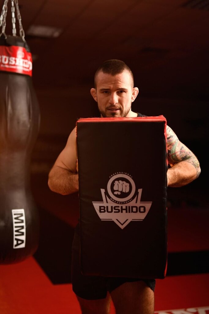 skydasbushidot7575x35x16cmf90afpigiaureference belsilt Bushido T75 daugiafunkcis treniruočių skydas 75x35x16 cm