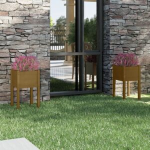 Sodo loveliai 2vnt 40x40x70cm pušies masyvas Belsilt