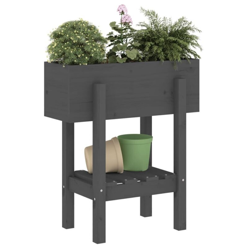 Medinis sodo lovelis 62x30x69cm su lentyna  belsilt