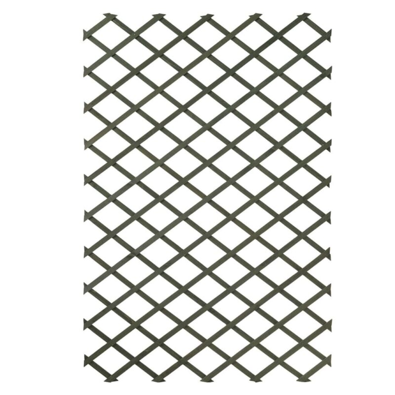 Sodo treliažai Nature 2 vnt 100×200 cm  natūrali atrama sode