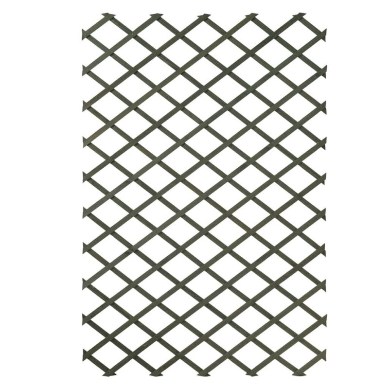 Sodo treliažai Nature 2 vnt 100×200 cm  natūrali atrama sode
