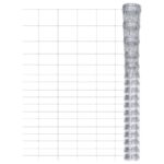 Sodo tvora vidaXL 50×125 m galvanizuotas plienas sidabro