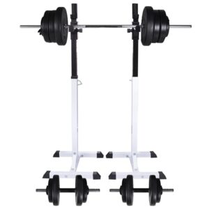Stovas su štanga ir hanteliais vidaXL 605kg   Belsilt