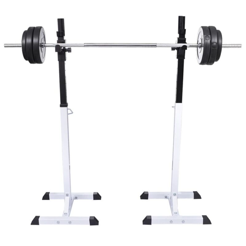 VidaXL štangos stovas su štanga ir hanteliais 305 kg