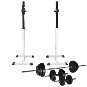 VidaXL štangos stovas su štanga ir hanteliais 305 kg
