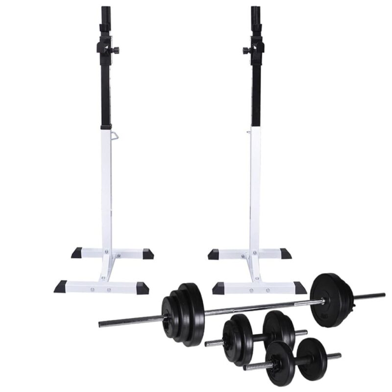 VidaXL štangos stovas su štanga ir hanteliais 305 kg
