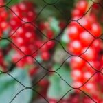 Universali uždanga nuo paukščių Nature Primo, 10x10 m