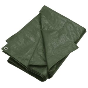Žalias tentas vidaXL, 6x10m, 180g/m², Hdpe