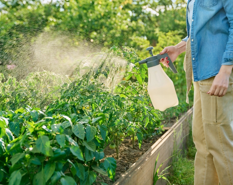 SOLEPSOMsoldokapieligorzkaSIARCZANMAGNEZUczystysklad10kgRodzajsol belsilt