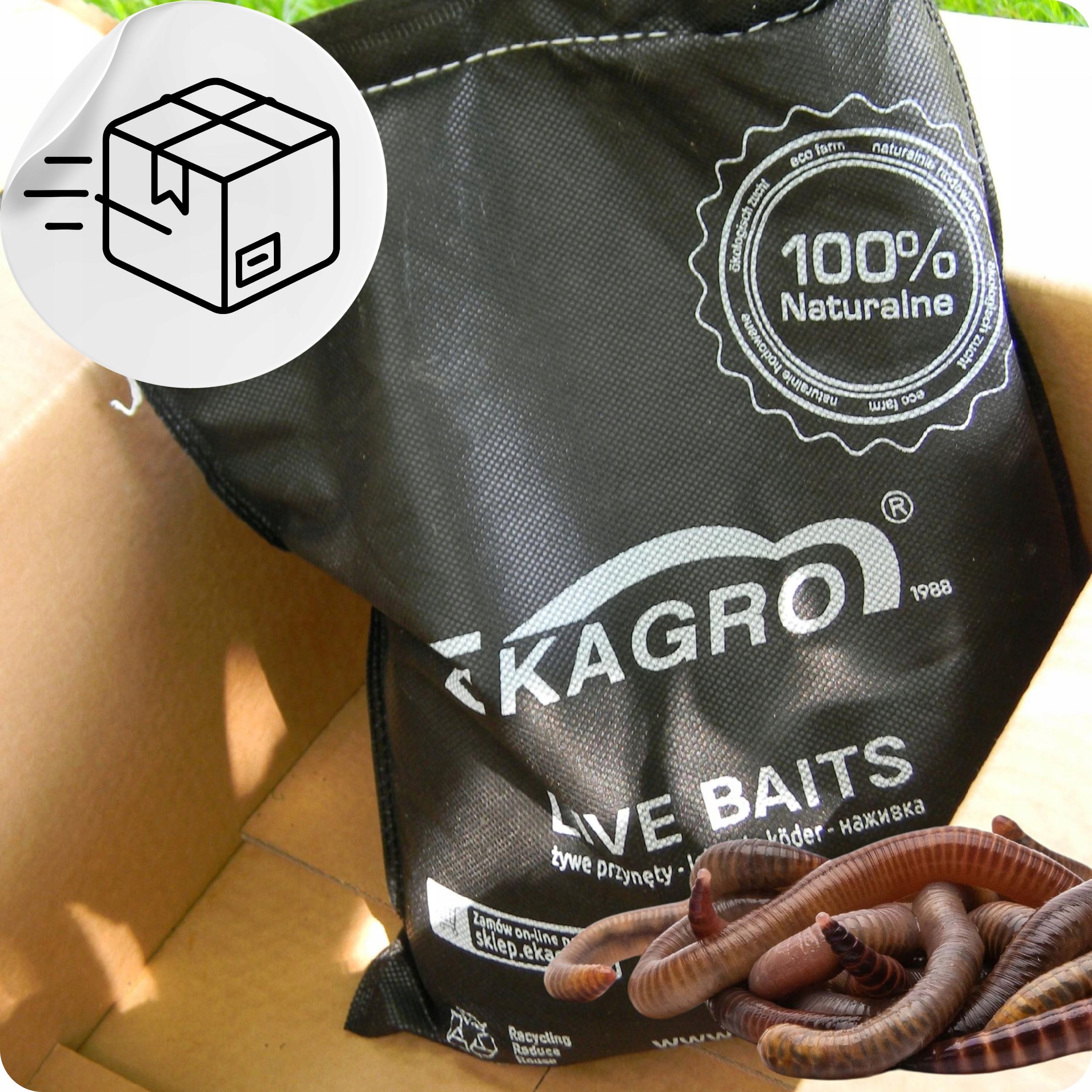 1000sztKompostoweDzdzowniceKalifornijskieMixWysokoscproduktu50cm belsilt Kalifornijos sliekai kompostui 1000 vnt