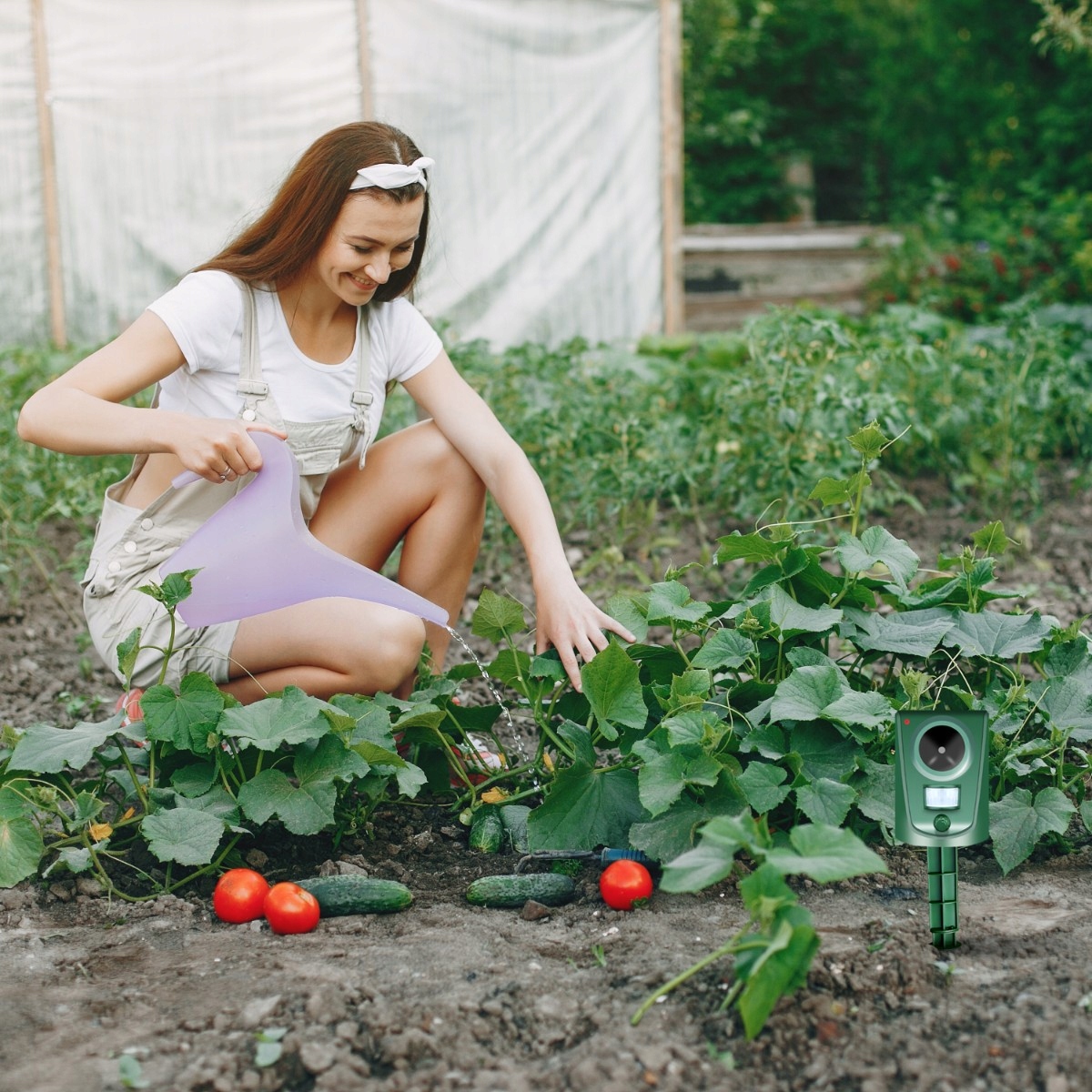 1ec5045d4a85bb098d9de246a37f belsilt Ultragarsinis kiaunių pelių graužikų paukščių ir šernų atbaidytuvas su judesio davikliu
