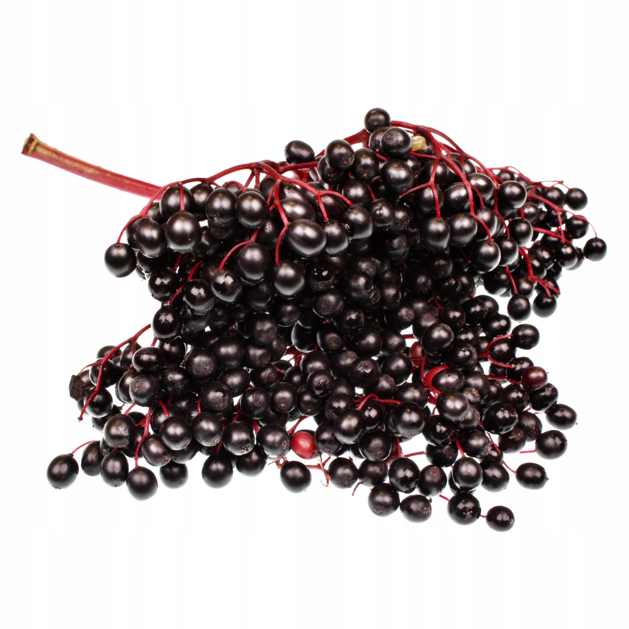 CZARNYBEZOWOC1000gsuszonyowocenaparherbataodpornosc1kgNATURALNYKodproducenta22491000g belsilt Džiovintos juodojo šeivamedžio uogos 1000 g 11 variantas