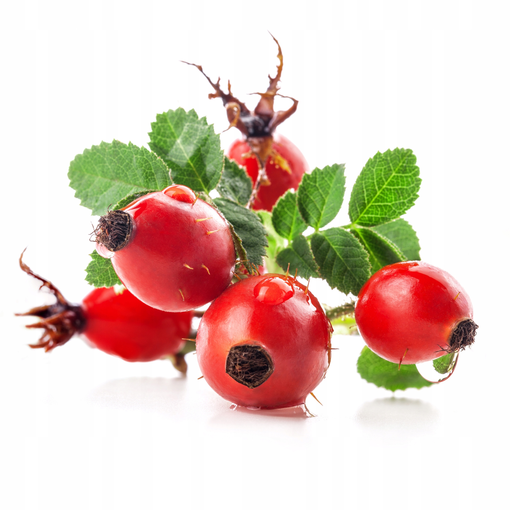 DZIKAROZASKORKA1000gdzikiejrozysuszonaherbataowocowa1kgNATURALNAKodproducenta22311000g belsilt Džiovintos erškėtuogių žievelės 1000 g dovanoms