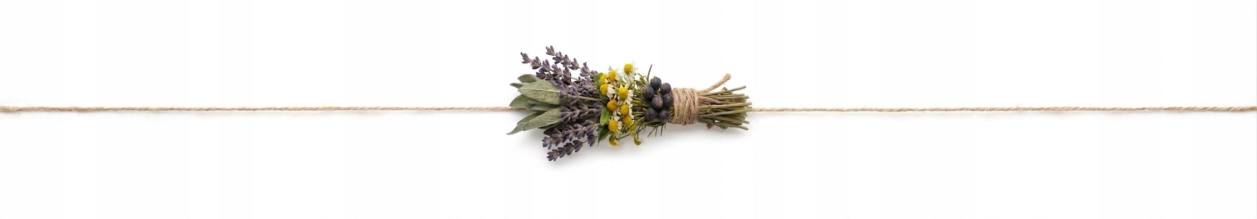 DZIKAROZASUSZONAOWOCDZIKIEJROZYCALY1KG100NATURALNYWYSOKAJAKOSCRodzajdzikaroza belsilt Džiovinti erškėtuogių vaisiai 1 kg vaisių užkandis vaisinei arbatai