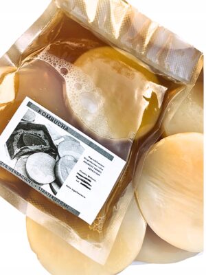 Kombučios SCOBY grybas su starteriu 200 ml 7 cm namams