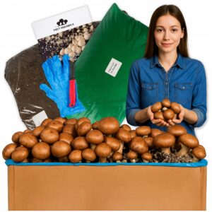 Rudųjų pievagrybių auginimo rinkinys 30 kg su instrukcija su papildomu priedu