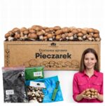 Rudųjų pievagrybių auginimo rinkinys 15 kg su instrukcija su papildomu priedu namams